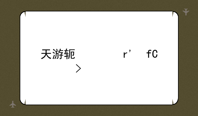 天游软件有限公司