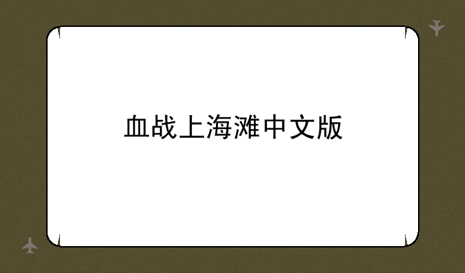 血战上海滩中文版