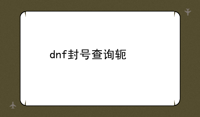 dnf封号查询软件