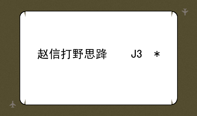 赵信打野思路和技巧