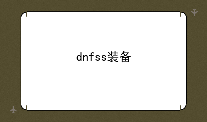 dnfss装备