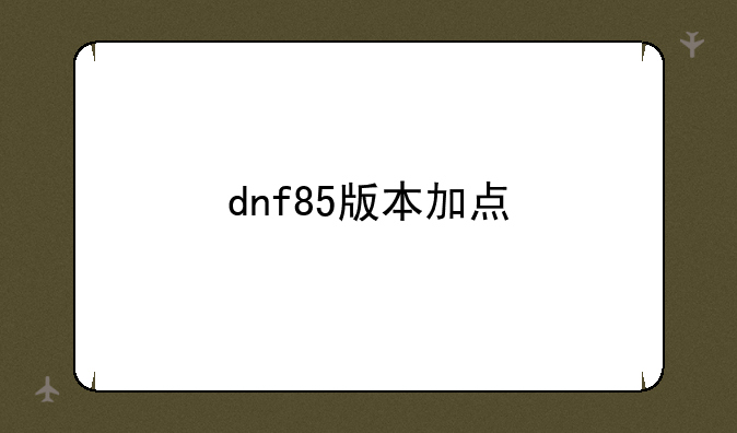 dnf85版本加点