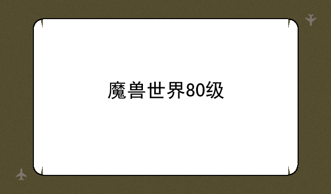 魔兽世界80级